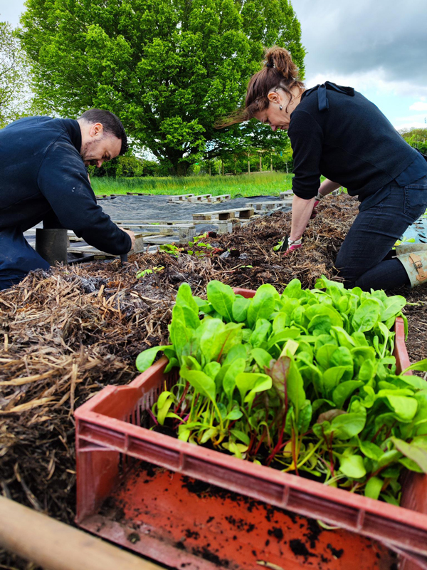 permaculture-usine-bong-rse3